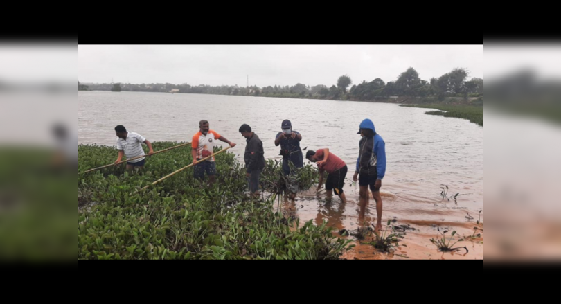 Residents of Dharwad Hyacinth Split from Lake