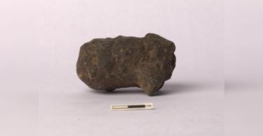 Keeladi: Animal Figurine Found in Gaujiak