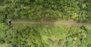 Wildlife nodded to update the railroad through Melghat Amravati: Piyush Goyal