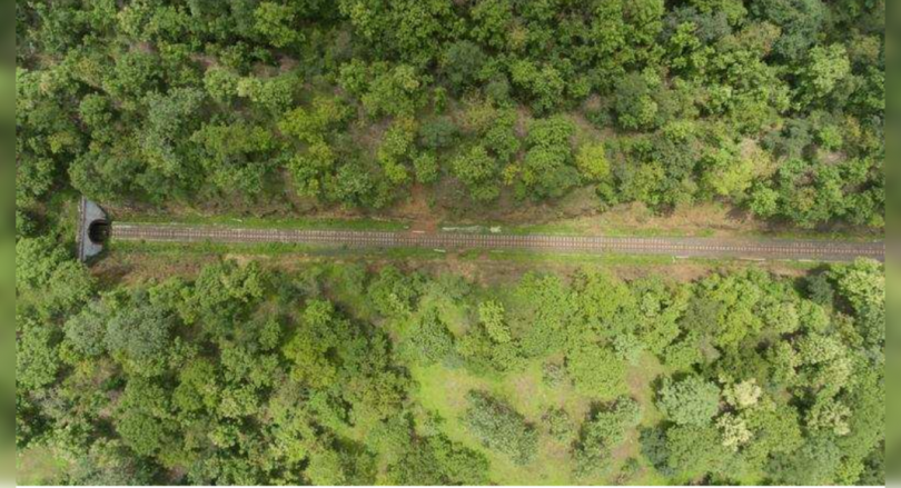 Wildlife nodded to update the railroad through Melghat Amravati: Piyush Goyal