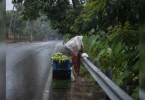Heavy rainfall forecast for parts of Kerala