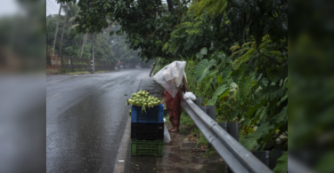 Heavy rainfall forecast for parts of Kerala