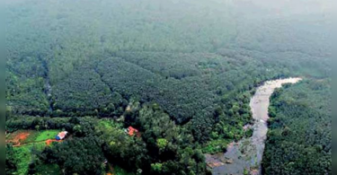 Kerala: Sabarimala Airport Becomes Uphill Task