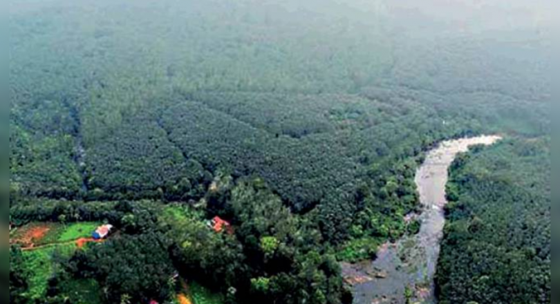 Kerala: Sabarimala Airport Becomes Uphill Task