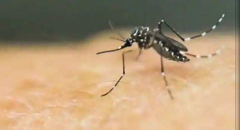 Three cases zika again in Kerala