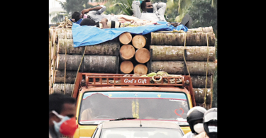 Covid-19: Five IAS officers to monitor the situation as TPR reached 12.38% in Kerala