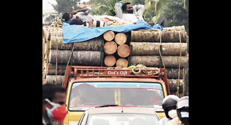 Covid-19: Five IAS officers to monitor the situation as TPR reached 12.38% in Kerala