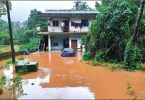 Goa: Deforestation of intensive floods in Bicholim, Sattari, said experts