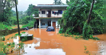 Goa: Deforestation of intensive floods in Bicholim, Sattari, said experts