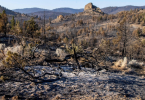 Wildfires exploded through West Draw State to lend support