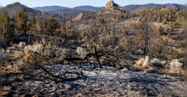 Wildfires exploded through West Draw State to lend support