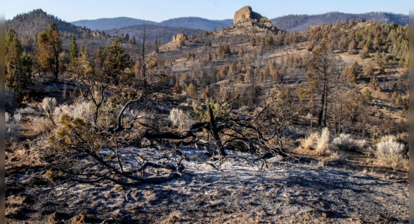 Wildfires exploded through West Draw State to lend support