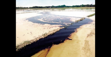 Assam: Leaking Oil from the Ongc Pipe Spills to Agricultural Land in Sivasagar