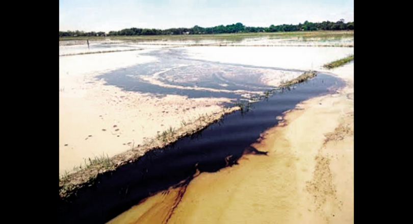 Assam: Leaking Oil from the Ongc Pipe Spills to Agricultural Land in Sivasagar