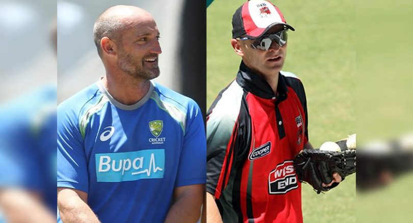 Australia appointed Venuto, Vaughan as assistant coach