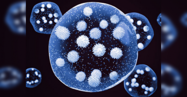 The lowest Bengaluru virus in 5 months