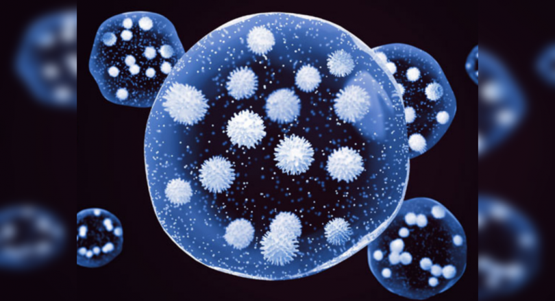 The lowest Bengaluru virus in 5 months