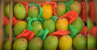 Mamata keeping the 'sweet' tradition that he started in 2011