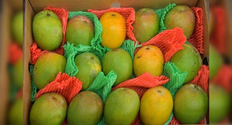 Mamata keeping the 'sweet' tradition that he started in 2011