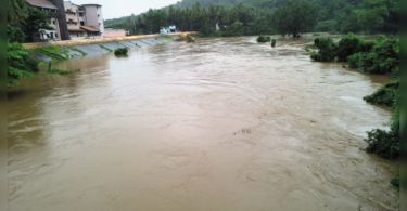 Goa: Hit cattle, animal sinks, tollers