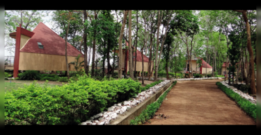 Cruise Hirakud is likely to be from August