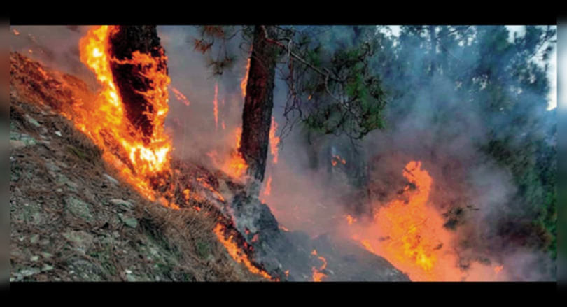 There is no life life, property in similipal fire, said Center