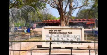 Delhi to get three lions from Gujarat for breeding purposes