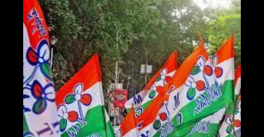 'The panel investigates violence after the poll can be biased'