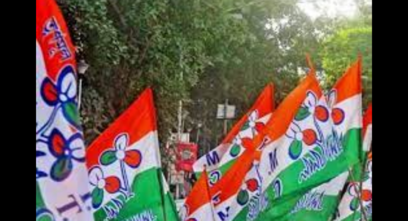 'The panel investigates violence after the poll can be biased'