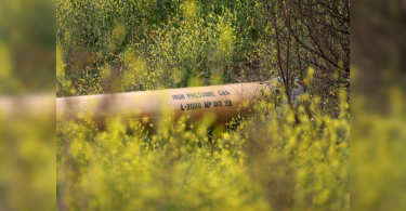 Spire looks for US support for Missouri Natagas pipes to avoid blackouts