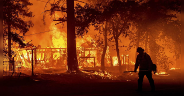 West Battle Wildfire assisted by the weather but losses grew