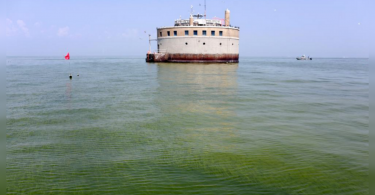 Estimates of other lightweight blooms for Lake Erie this summer