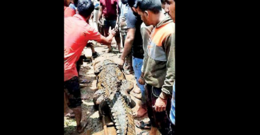 Afraid of reptiles made the villagers affected by flooding back home