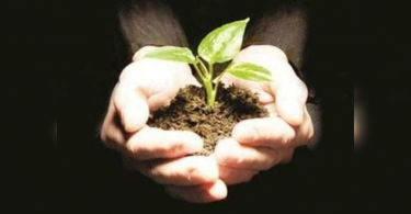 Nagegurnool's house to have mango puppies