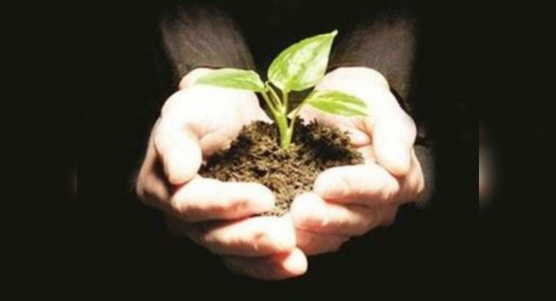 Nagegurnool's house to have mango puppies