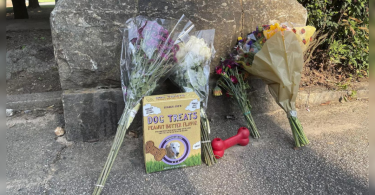 Police Looking for Hints After Women and Dogs Killed in Atlanta Park