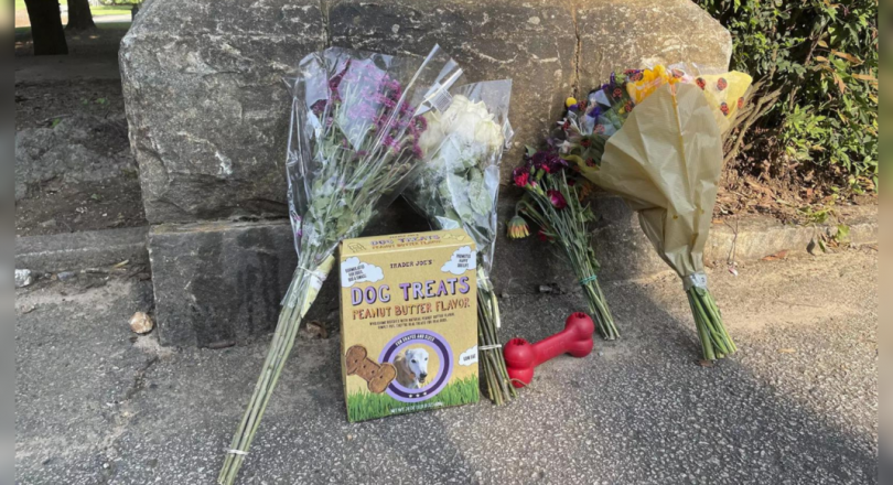 Police Looking for Hints After Women and Dogs Killed in Atlanta Park