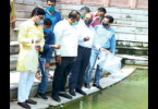 Lucknow: Gambusia Fish Eggs Released in Pool