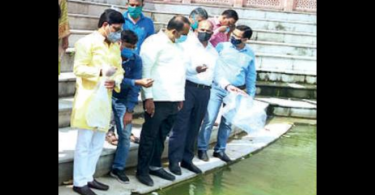 Lucknow: Gambusia Fish Eggs Released in Pool