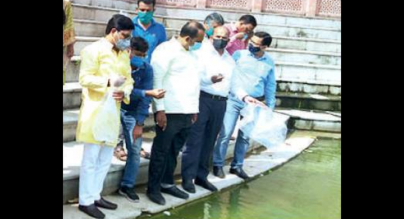 Lucknow: Gambusia Fish Eggs Released in Pool