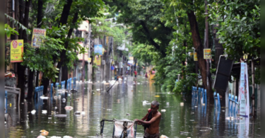 Heavy rain brings life to stop in Bengal