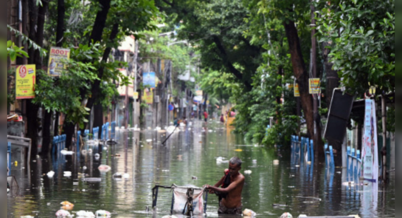Heavy rain brings life to stop in Bengal