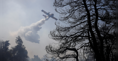 Greece issued a jungle fire warning over a 'dangerous' heat wave