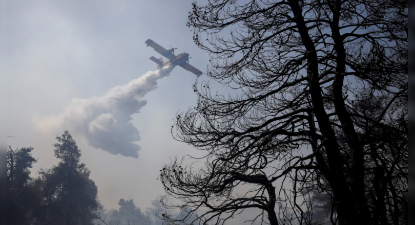 Greece issued a jungle fire warning over a 'dangerous' heat wave