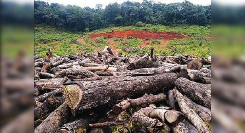 In 1 year, Goa is transferred near 150 hectares forest land for power projects