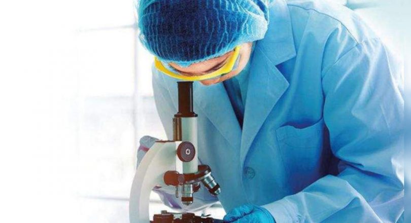 50% increase in Med Specialist register for PhD