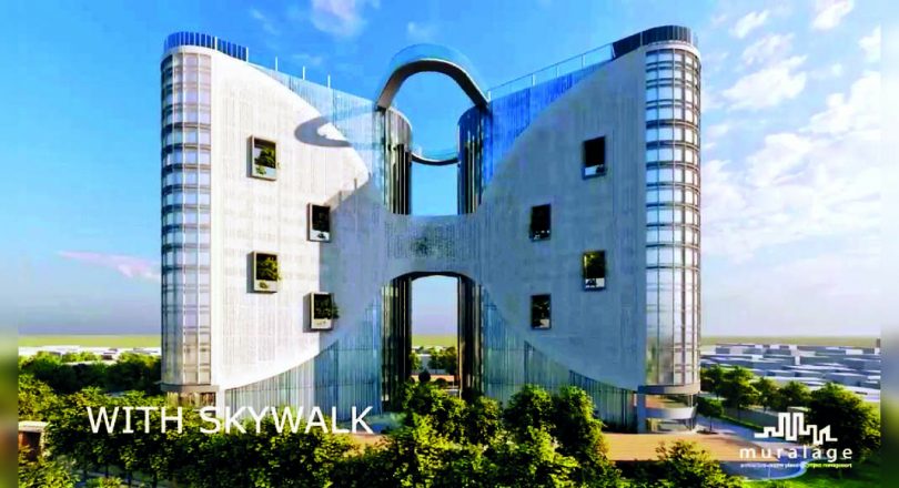 In the first in Uttar Pradesh east, large trees were transplanted to empty the soil for ICC