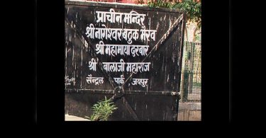 'Remove wild residents from Central Park, not hotels'