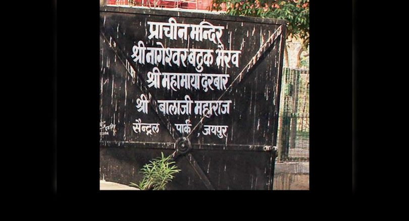 'Remove wild residents from Central Park, not hotels'