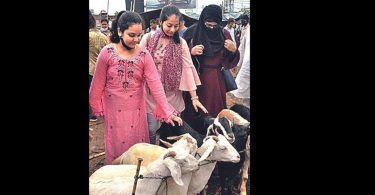 Goat traders looked at losses for the second year in a row